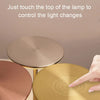 Wireless LED Touch Sensor Table Lamp USB Rechargeable